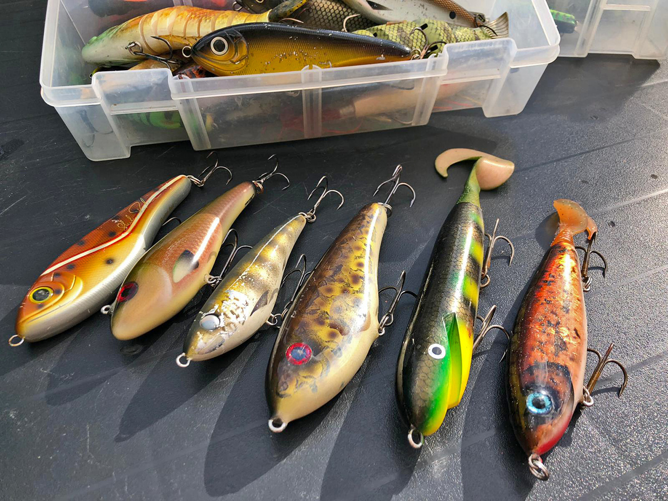 Pêche Passion Magasin -Pêche Passion Magasin 8db2009b 89c0 4076 a6fe 11e71c77b247